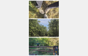 69f71b2110b49_20260502172338COLLAGE.jpg