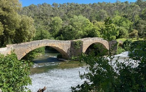 IMG_4899 Le pont médiéval